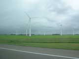 
Lots of windmills on holland now
